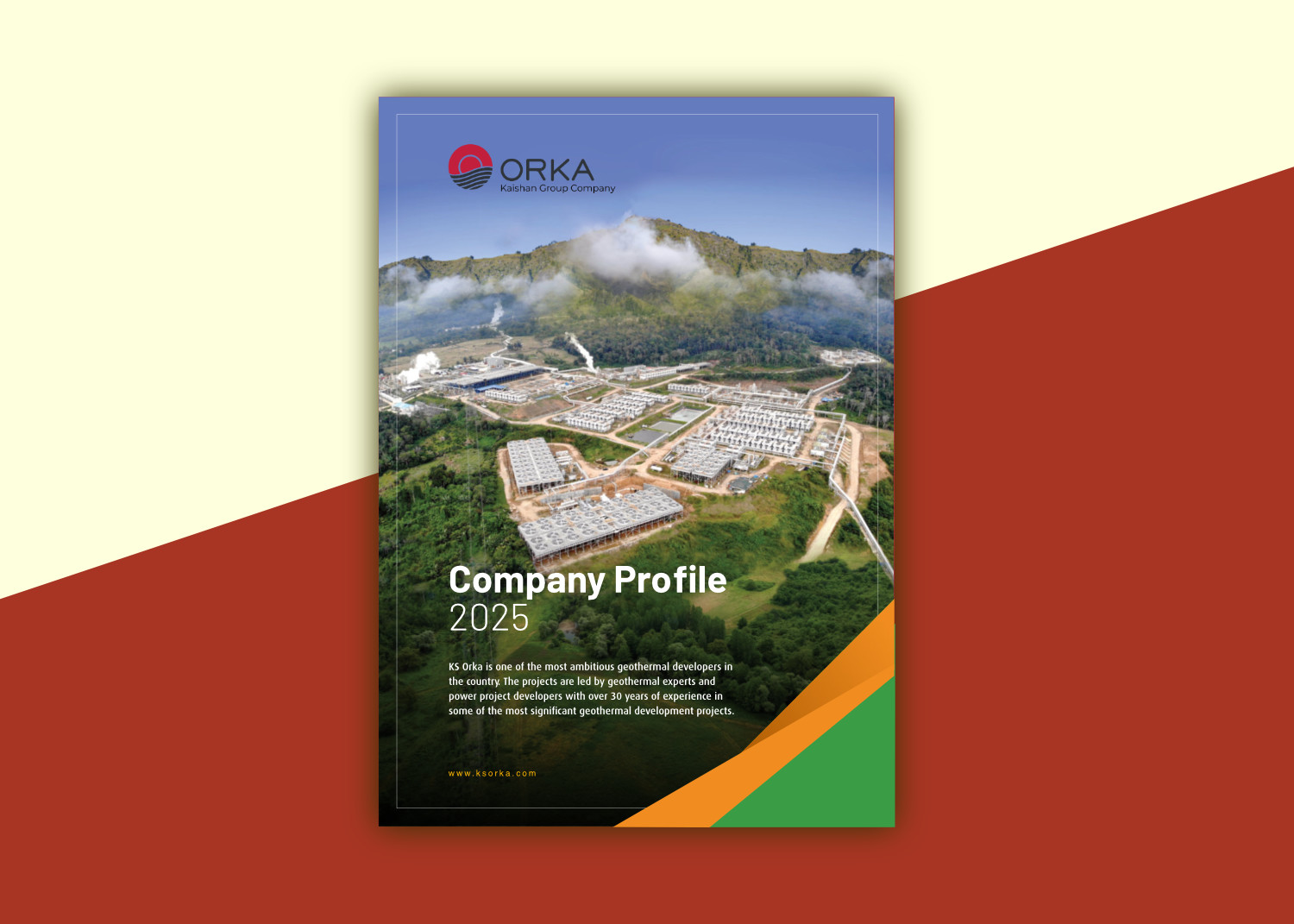 Infographic Design Roy Prasetyo